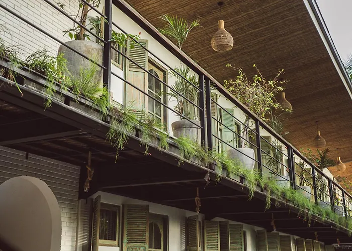 White Penny Hostel