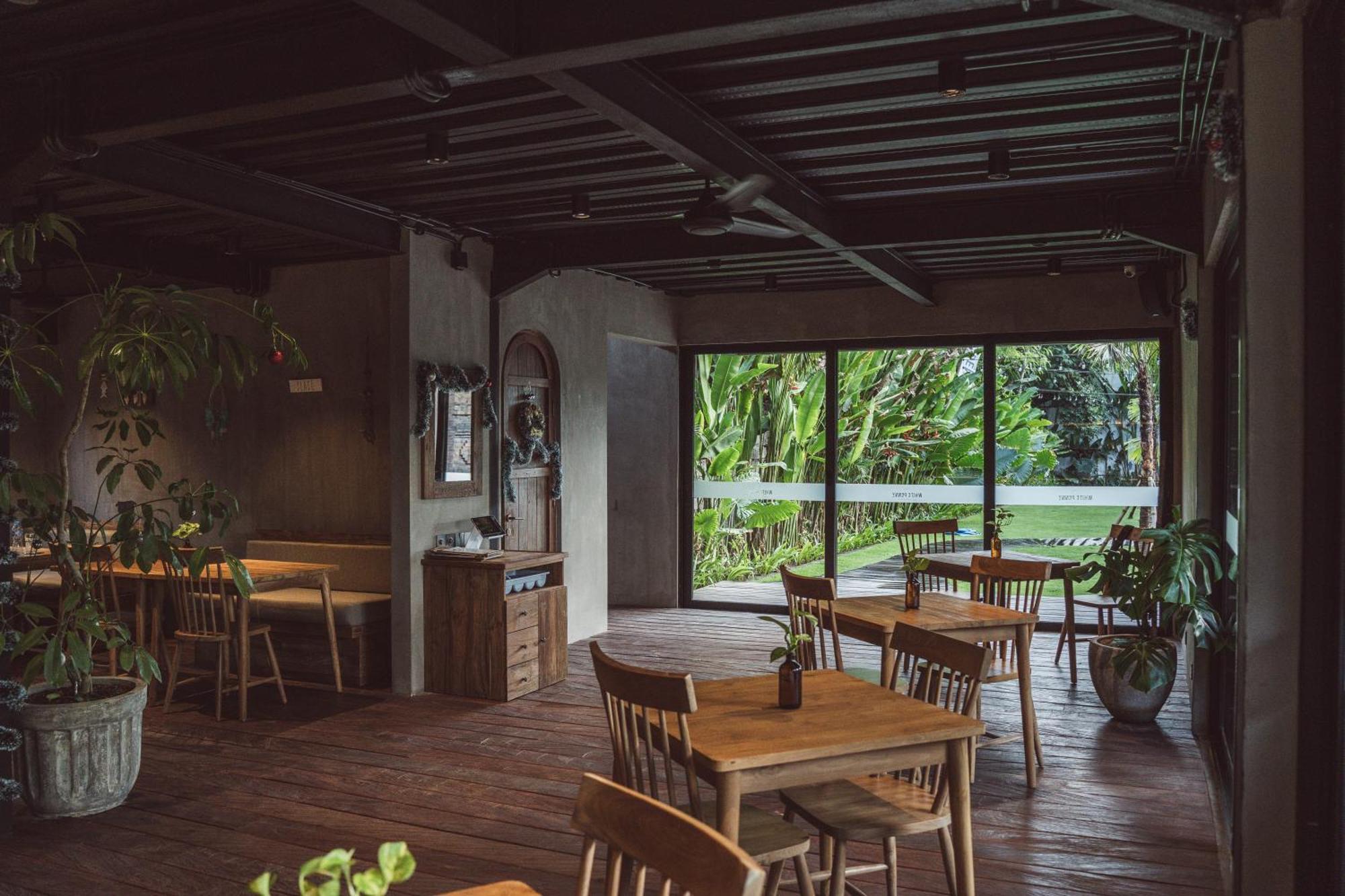 White Penny Hostel *